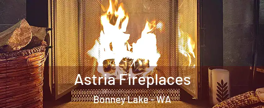  Astria Fireplaces Bonney Lake - WA
