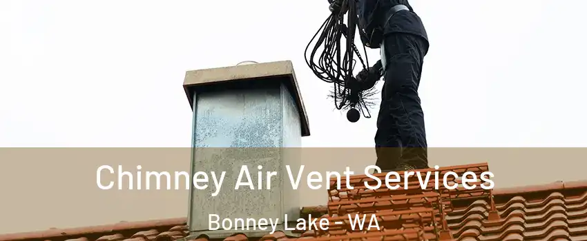  Chimney Air Vent Services Bonney Lake - WA