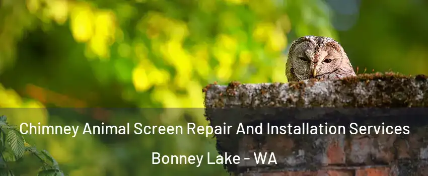 Chimney Animal Screen Repair And Installation Services Bonney Lake - WA