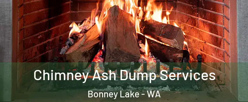  Chimney Ash Dump Services Bonney Lake - WA