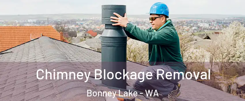  Chimney Blockage Removal Bonney Lake - WA