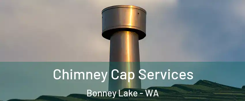  Chimney Cap Services Bonney Lake - WA