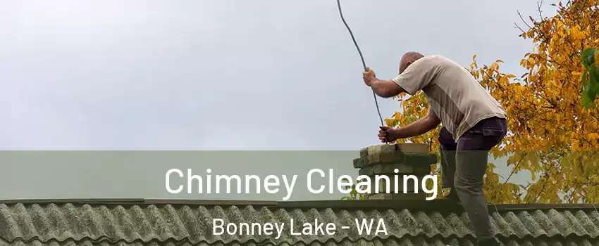 Chimney Cleaning Bonney Lake - WA