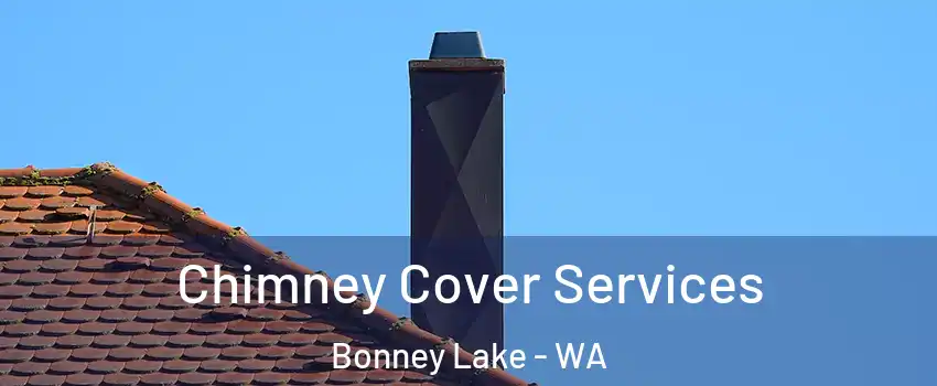Chimney Cover Services Bonney Lake - WA