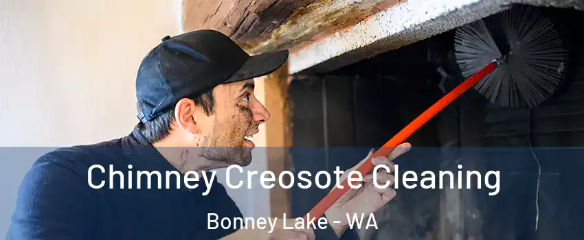 Chimney Creosote Cleaning Bonney Lake - WA