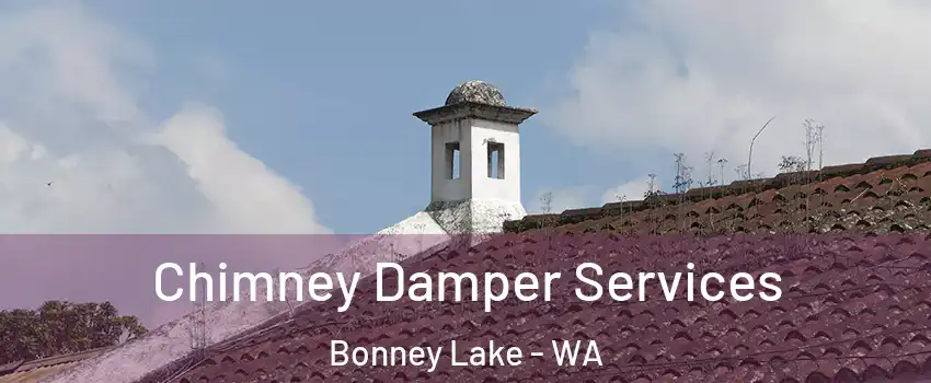Chimney Damper Services Bonney Lake - WA