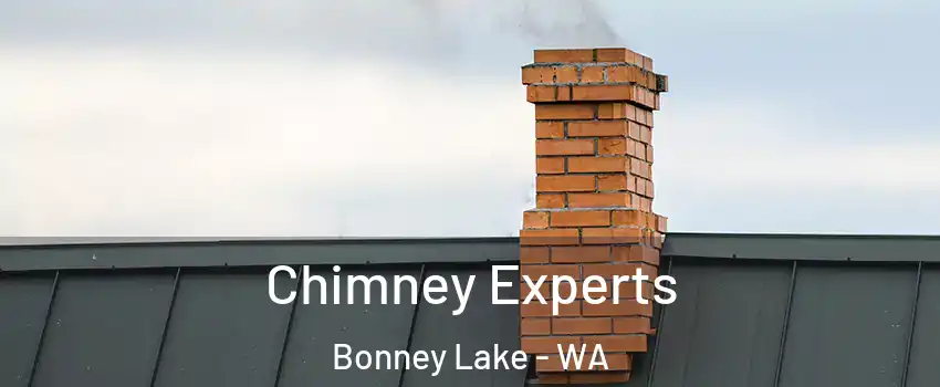 Chimney Experts Bonney Lake - WA