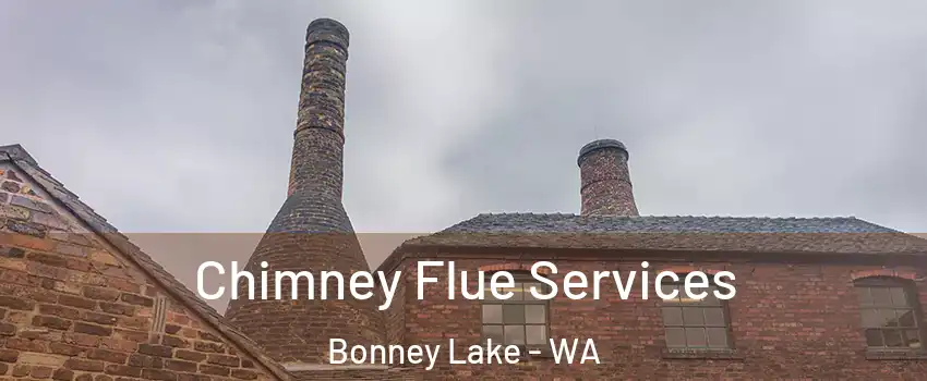  Chimney Flue Services Bonney Lake - WA