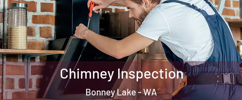 Chimney Inspection Bonney Lake - WA