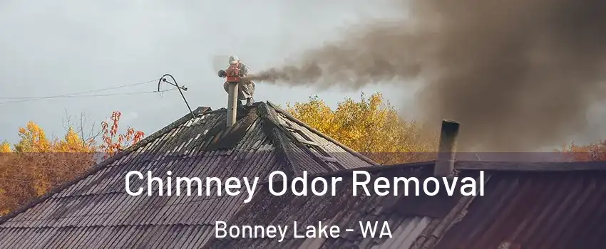  Chimney Odor Removal Bonney Lake - WA