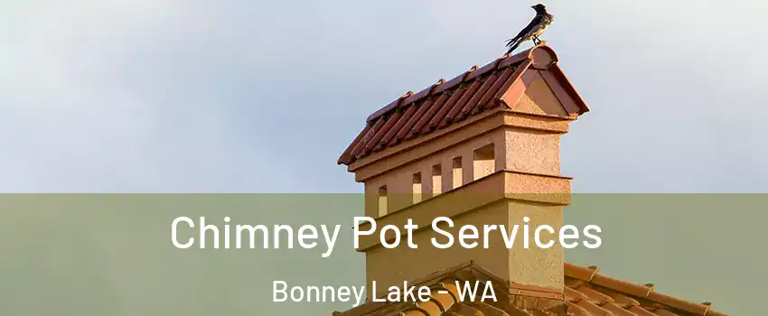  Chimney Pot Services Bonney Lake - WA