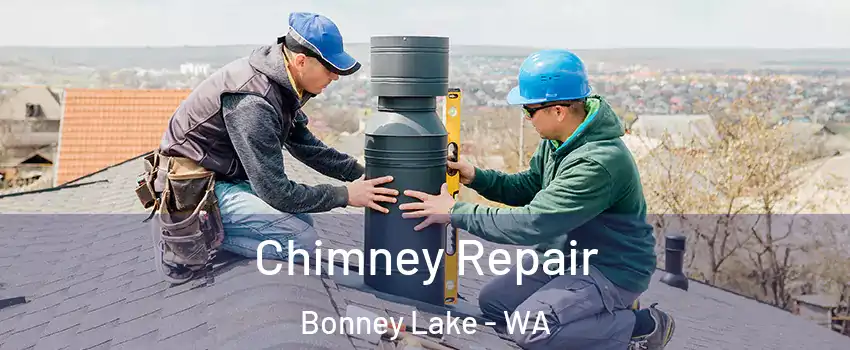  Chimney Repair Bonney Lake - WA