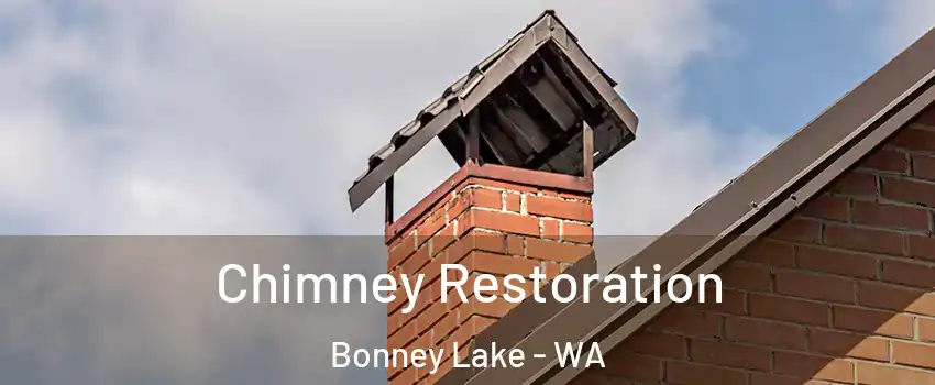 Chimney Restoration Bonney Lake - WA