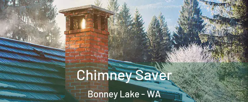 Chimney Saver Bonney Lake - WA