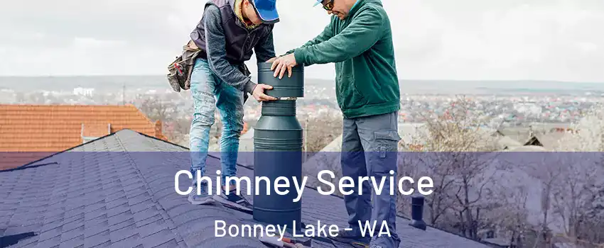  Chimney Service Bonney Lake - WA