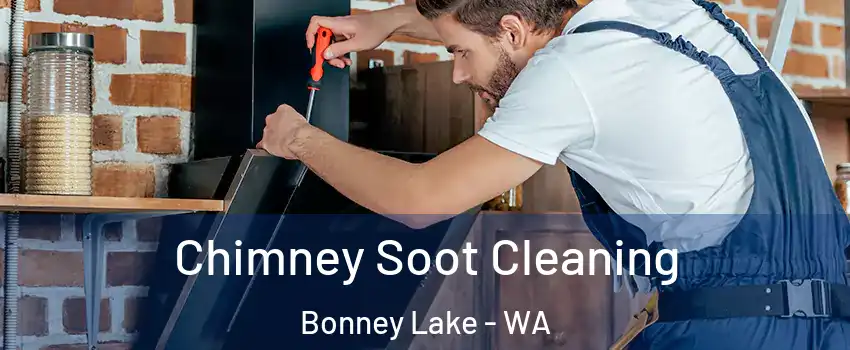  Chimney Soot Cleaning Bonney Lake - WA