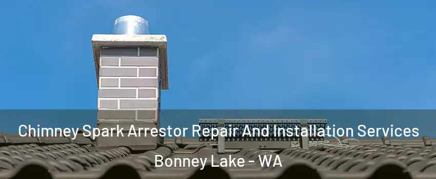  Chimney Spark Arrestor Repair And Installation Services Bonney Lake - WA