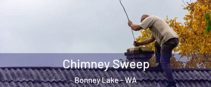  Chimney Sweep Bonney Lake - WA