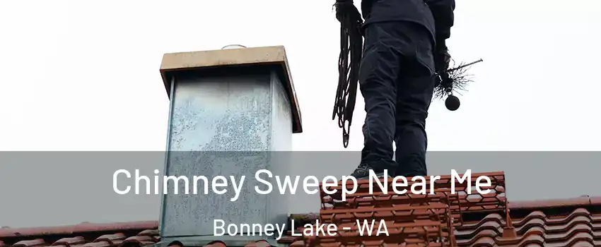 Chimney Sweep Near Me Bonney Lake - WA
