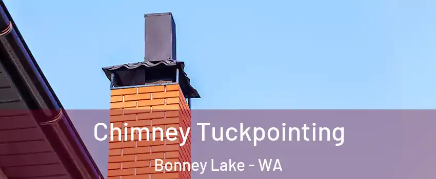  Chimney Tuckpointing Bonney Lake - WA