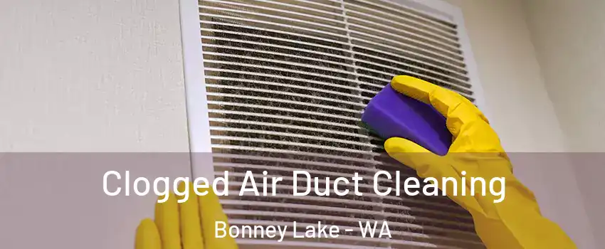 Clogged Air Duct Cleaning Bonney Lake - WA