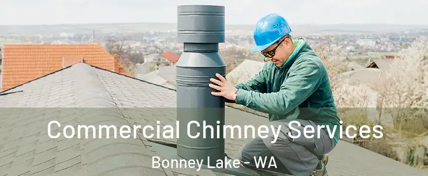 Commercial Chimney Services Bonney Lake - WA