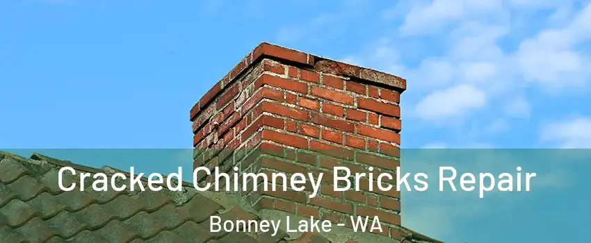 Cracked Chimney Bricks Repair Bonney Lake - WA