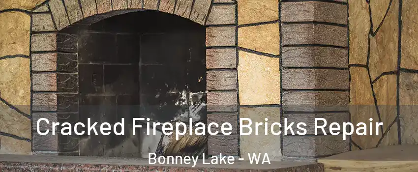 Cracked Fireplace Bricks Repair Bonney Lake - WA