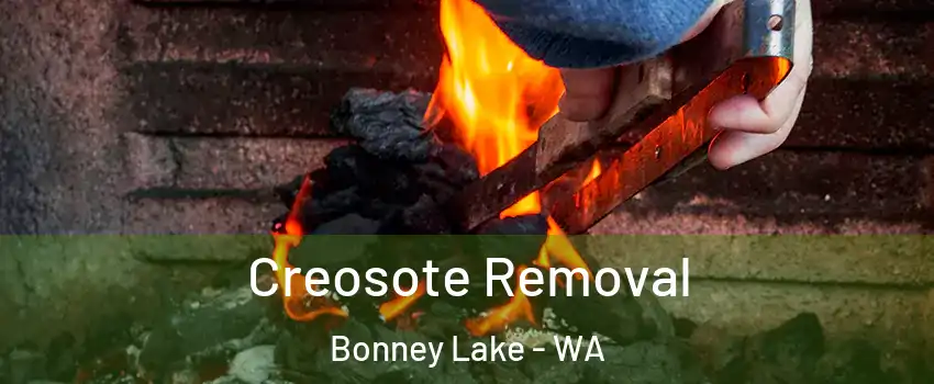  Creosote Removal Bonney Lake - WA