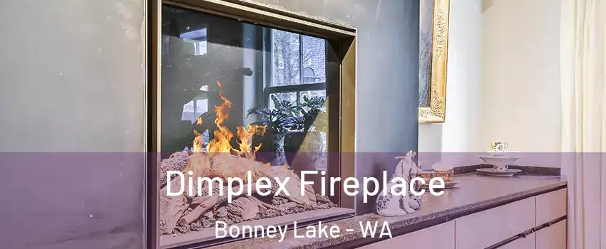  Dimplex Fireplace Bonney Lake - WA