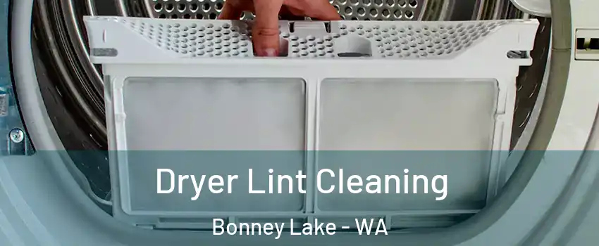  Dryer Lint Cleaning Bonney Lake - WA