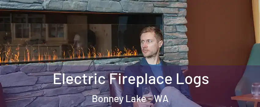  Electric Fireplace Logs Bonney Lake - WA