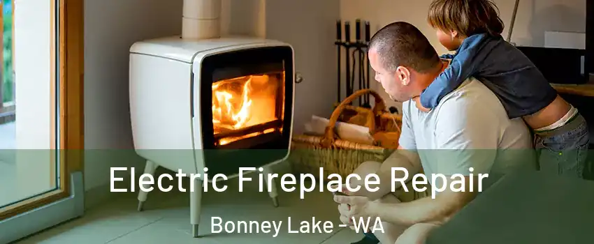  Electric Fireplace Repair Bonney Lake - WA