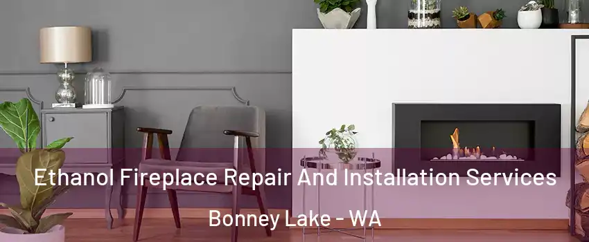  Ethanol Fireplace Repair And Installation Services Bonney Lake - WA