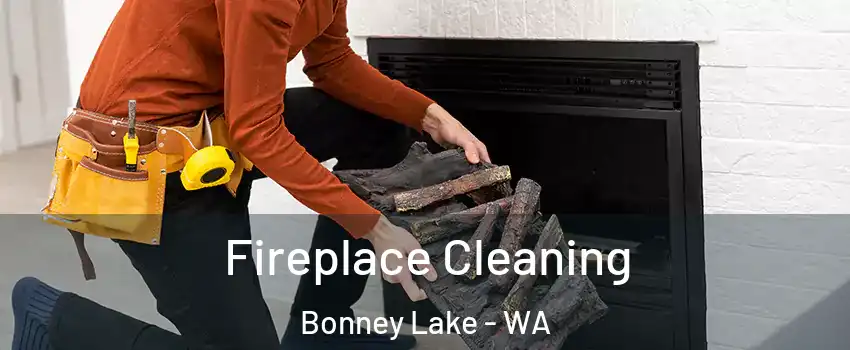 Fireplace Cleaning Bonney Lake - WA