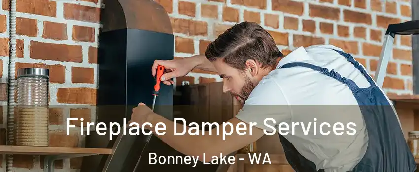  Fireplace Damper Services Bonney Lake - WA