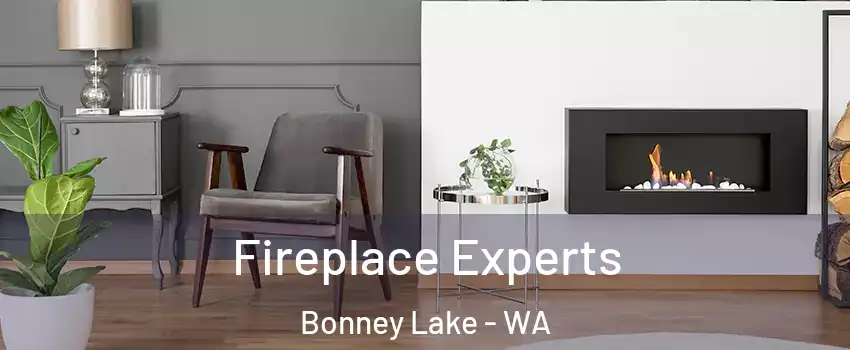  Fireplace Experts Bonney Lake - WA