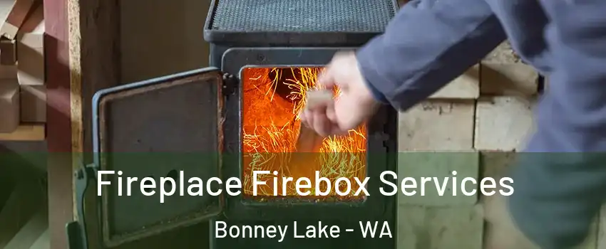  Fireplace Firebox Services Bonney Lake - WA