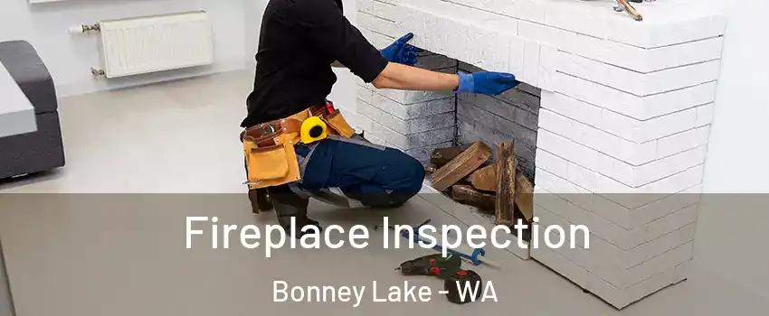 Fireplace Inspection Bonney Lake - WA