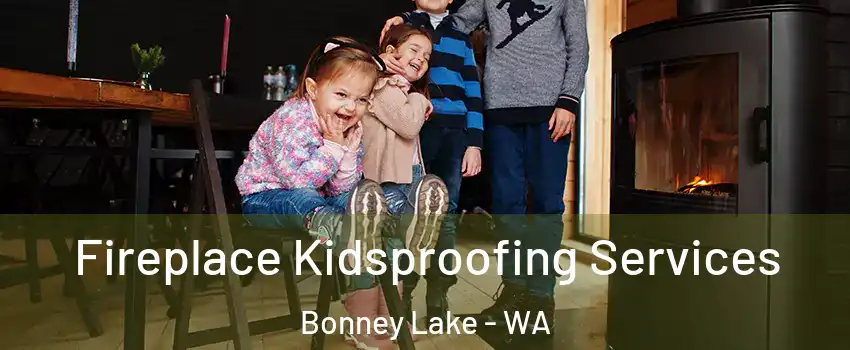  Fireplace Kidsproofing Services Bonney Lake - WA