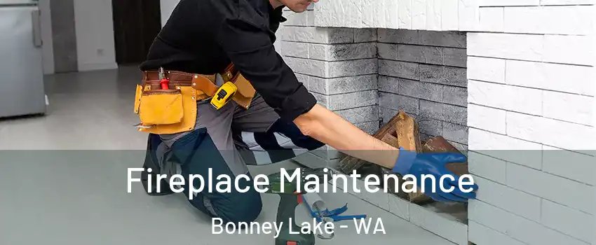  Fireplace Maintenance Bonney Lake - WA