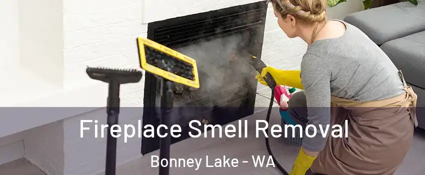  Fireplace Smell Removal Bonney Lake - WA