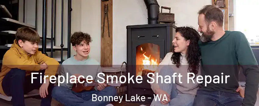 Fireplace Smoke Shaft Repair Bonney Lake - WA