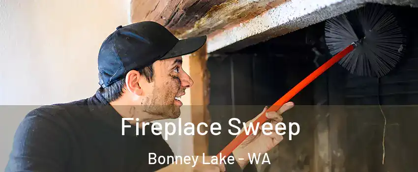  Fireplace Sweep Bonney Lake - WA