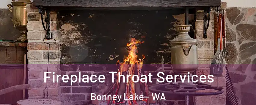 Fireplace Throat Services Bonney Lake - WA
