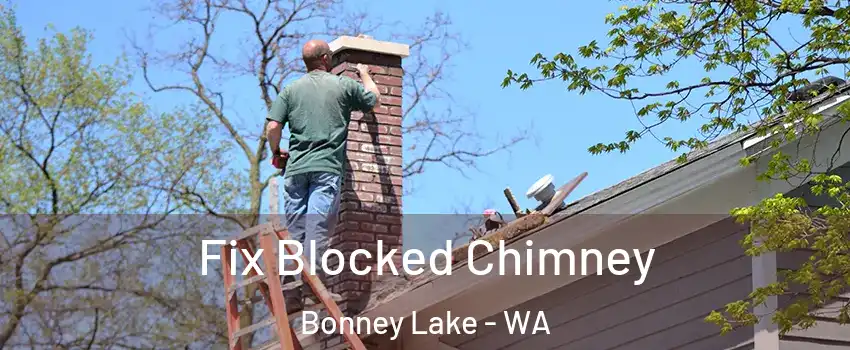  Fix Blocked Chimney Bonney Lake - WA