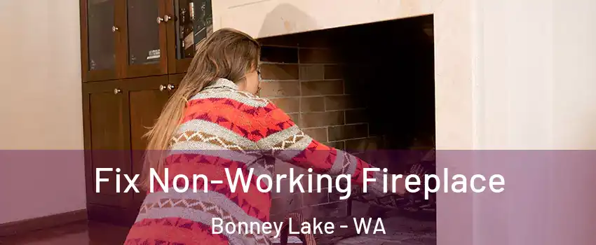 Fix Non-Working Fireplace Bonney Lake - WA