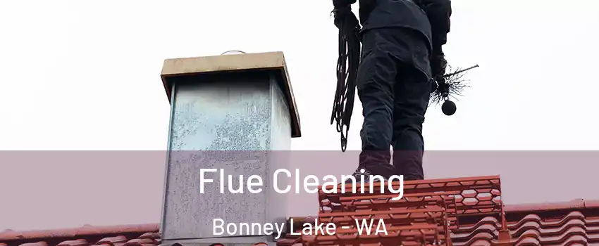 Flue Cleaning Bonney Lake - WA