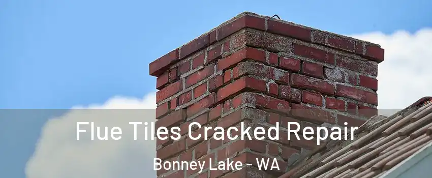 Flue Tiles Cracked Repair Bonney Lake - WA