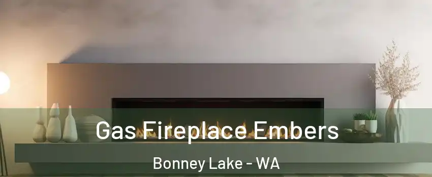  Gas Fireplace Embers Bonney Lake - WA